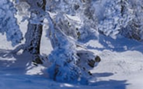 Сѩ�����簲�ʺ���