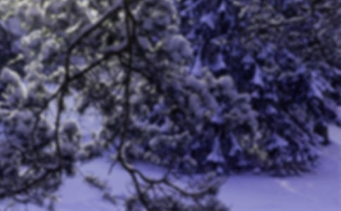 Сѩ�����ʺ���