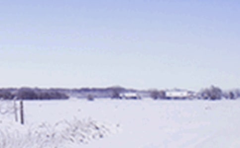 (ͨ��)Сѩ�����ʺ���