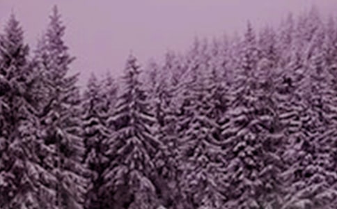 Сѩ����ף�����ȫ��� Сѩ�����ļ���