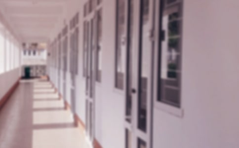 ѧУ���������ܽ�15ƪ[����]