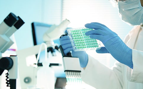 Сѧ�о������ƻ�