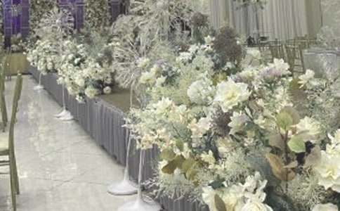 �������뺯������뺯����