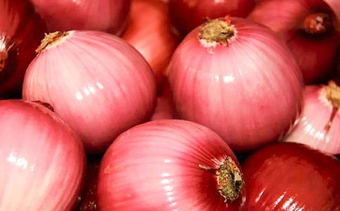 �����ͷ���ռǡ�����С���ѡ15ƪ��