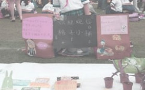 ����������ĵ����