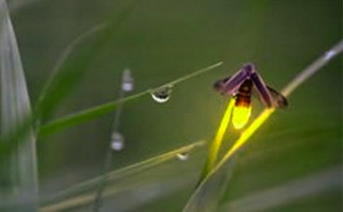 ����ө���С��и�15ƪ[��]