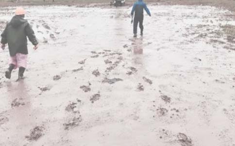 ��������Ա�����ܽ᷶����������Ա�����ܽ�