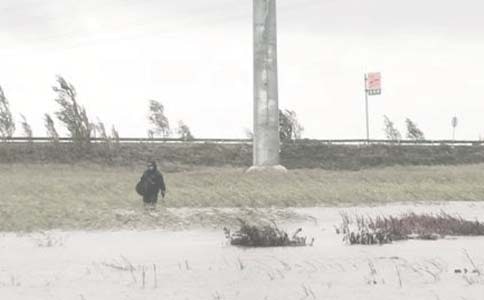 ����ʵϰ�ĵ����