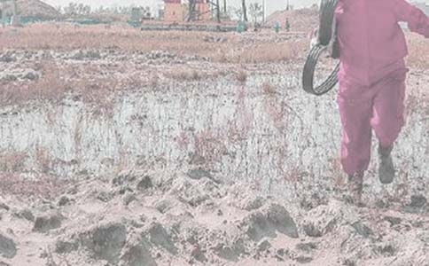 ����ʵϰ�ĵ����10ƪ