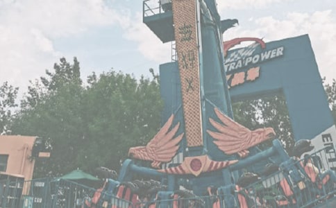 ����԰�Ĺ����ܽ�