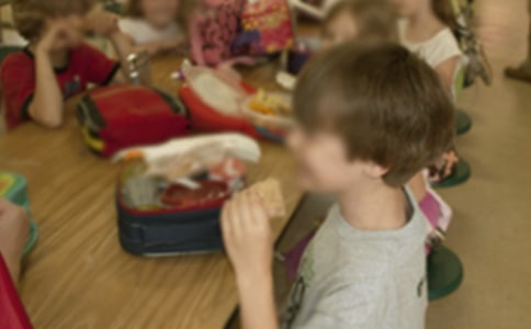 �׶�԰���鹤���ƻ����ģ���ѡ4ƪ��