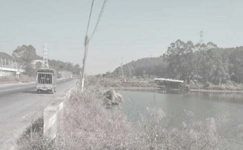 ��������Э���鷶��5ƪ