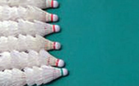 ��ë��ι����ܽ�