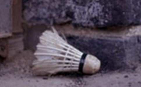 ��ë������߻���������