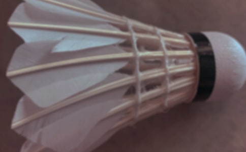 ���ţ���ë������߻�����