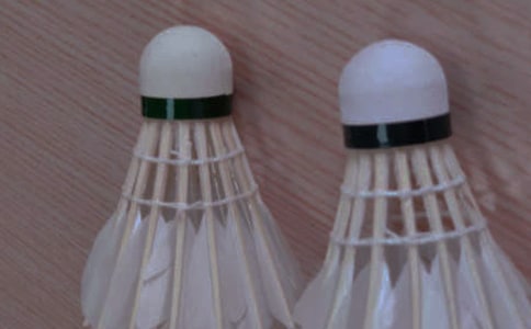 ��ë������