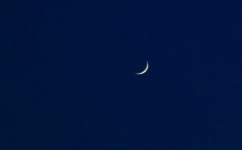 [��]����������Ӷ����