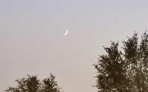 ������������ӡ������15ƪ���ţ�