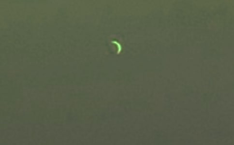 ����������ʿ�����