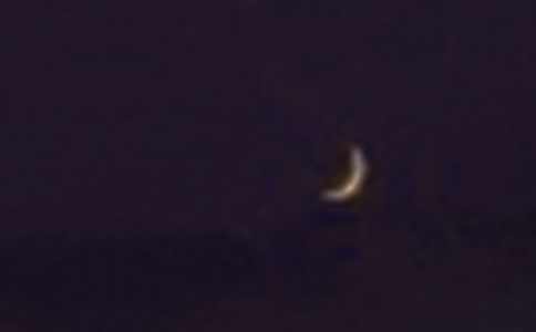 ����������ʿ����У�ͨ��31ƪ��