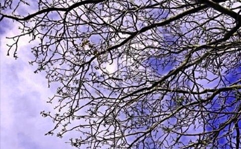 ���ر���2024����ܰ���簲QQ�ʺ���󼯺�72��