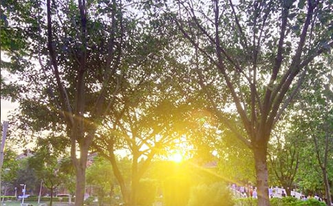 ���õ��簲�ʺ���49��