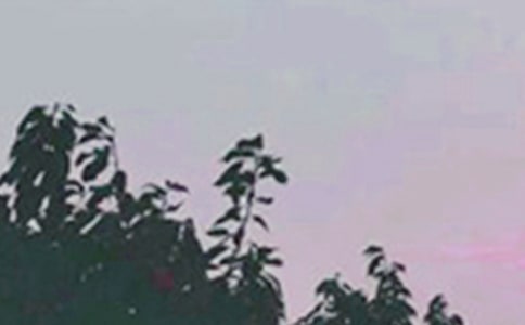 ��Ψ���簲ף������ܣ�ͨ��95�䣩