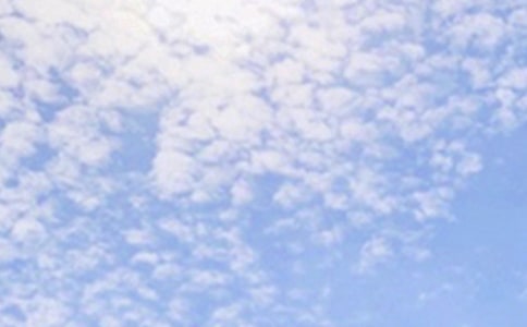 �����š�2024�������簲�ʺ���ϼ�64��