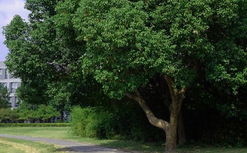 ��ѡ���õ��簲QQ�ʺ���ϼ�46��