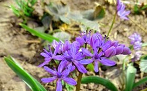 �й�����ϵ�簲QQ�ʺ���19��