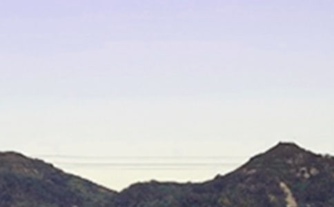 2025����������簲�ʺ�����¼����30��