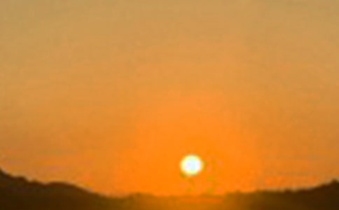 2025���̵��簲����Ȧ�ʺ��Ｏ��51��