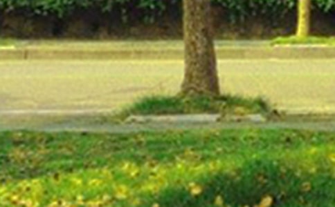 ���������簲�ʺ���