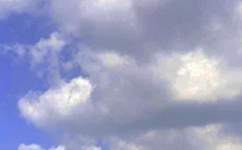 ��ʵ�á�2024����ů���簲�ʺ�����ż���54��