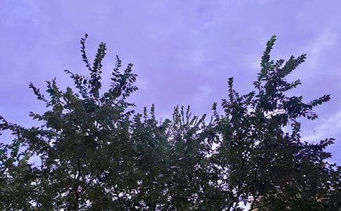 ��ѡ���õ��簲�ʺ��Ｏ��32��