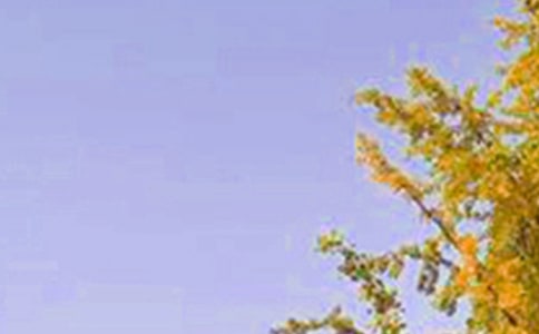 ��ů���簲QQ�ʺ���26��