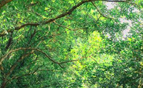 2024���й�ÿ��һ���簲QQ�ʺ���ժ¼31��