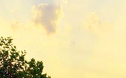 �����簲΢���ʺ���36��