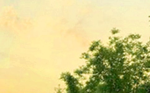 �����������簲�ʺ���29��