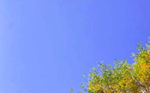 �������õ��簲ף����23��