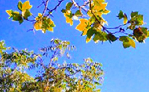 2024��ʵ�õ��°��簲�ʺ���28��