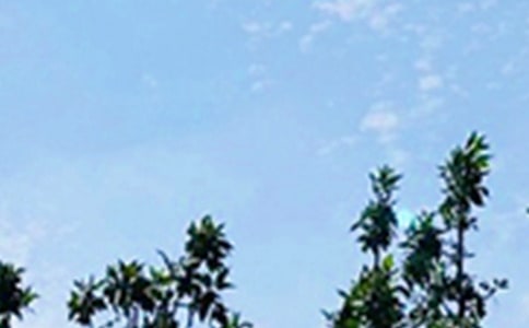 2025�꾭��ÿ��һ���簲�ʺ���ϼ�60��