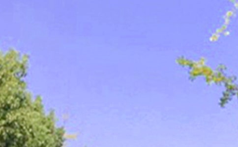 ���õ��簲΢��ף����ժ¼59��