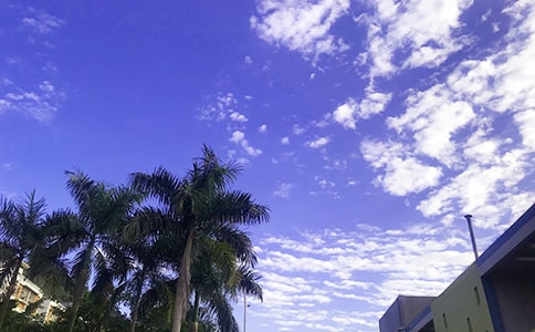 ��ʵ�á����õ��簲����Ȧ�ʺ�����49��