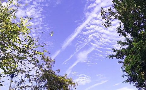 �����簲΢���ʺ���52��