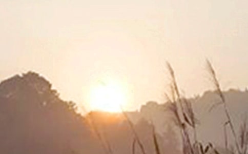 �����������õ��簲����Ȧ�ʺ���ժ¼43��