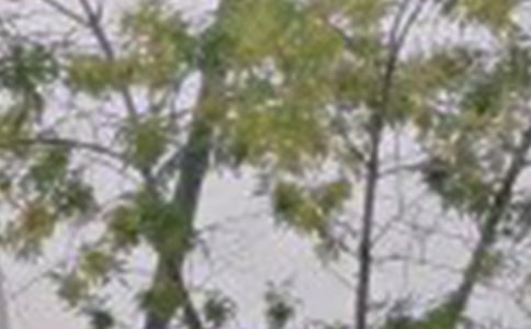 ��ѡ��ů���簲QQ�ʺ���48��