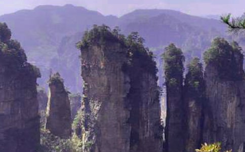 ���żҽ��ĵ�