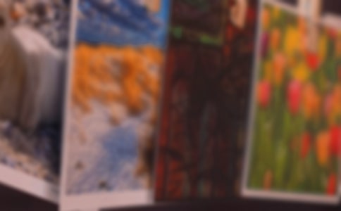 ��Ƭʹ��ȨЭ����