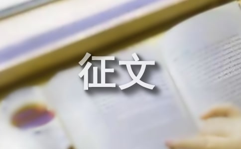 国家安全人人有责征文一等奖最新
